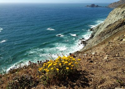 Devil's Slide Coastline