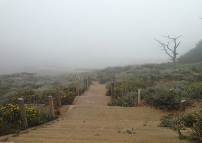 Land's End Fog and Steps