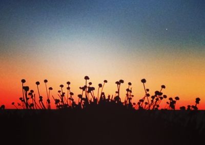 Hwy 1 Sunset Silhouette