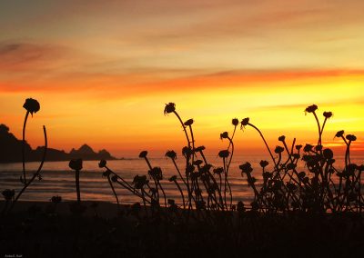 End of Summer Pacifica Sunset