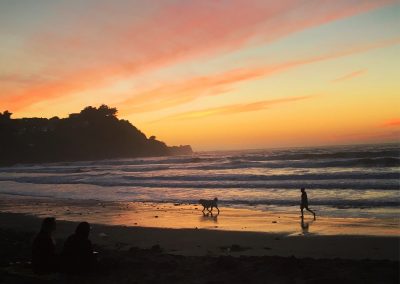 Dog and Jogger at Pacifica State Beach