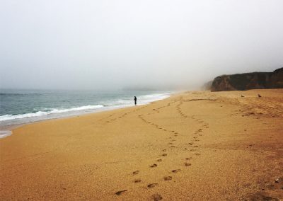 Fishing in the Fog