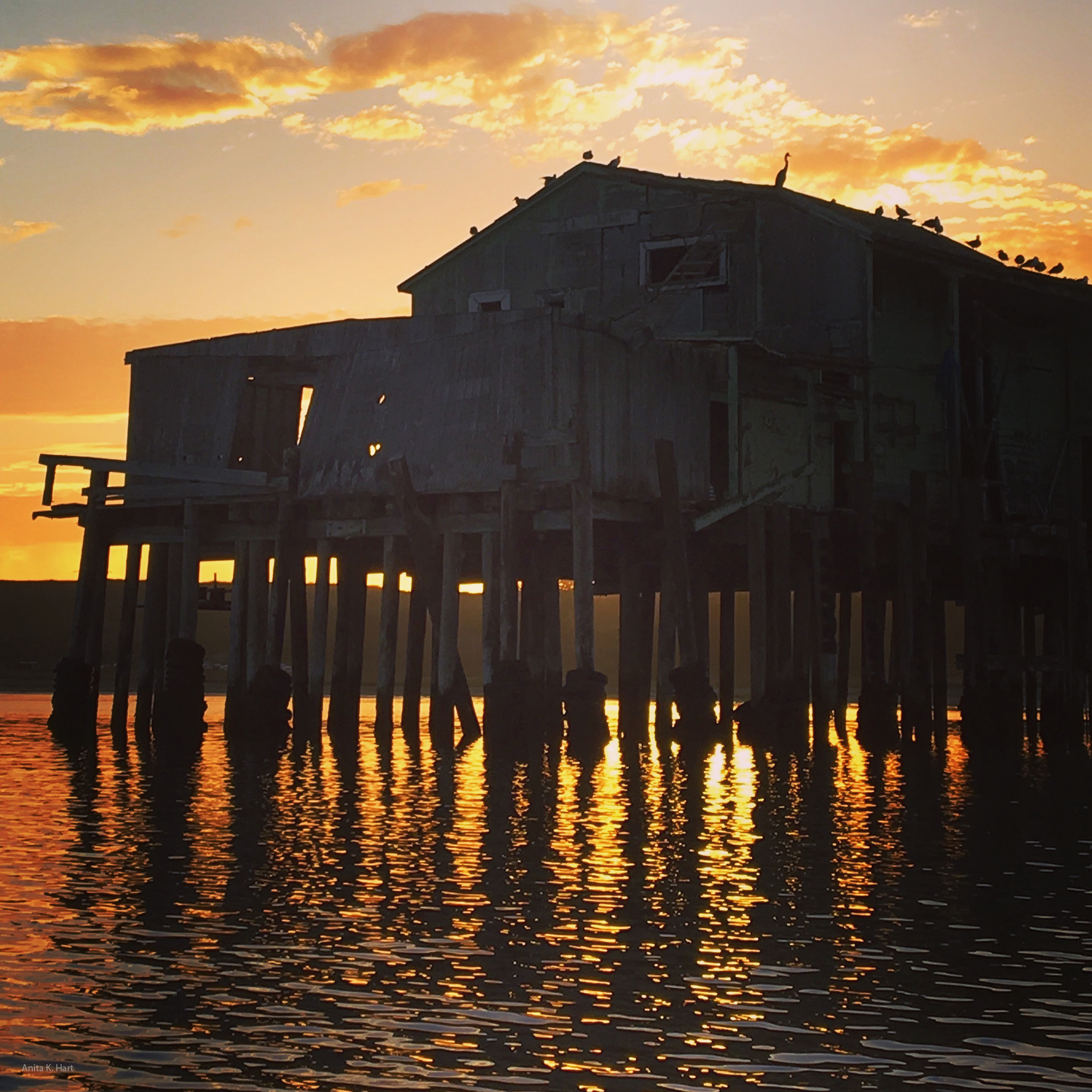 Fiery Sunset Through Romeo Pier