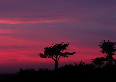 Purple and Pink Sunset at Lighthouse Field State Beach