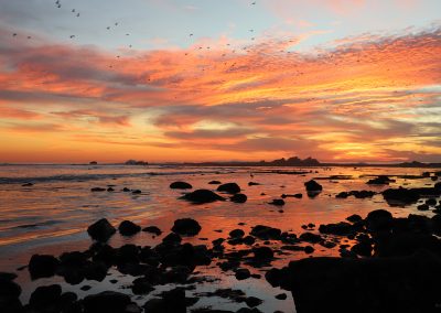 Mavericks sunset low tide orange