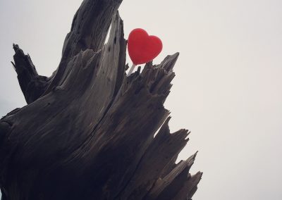 Heart on Driftwood