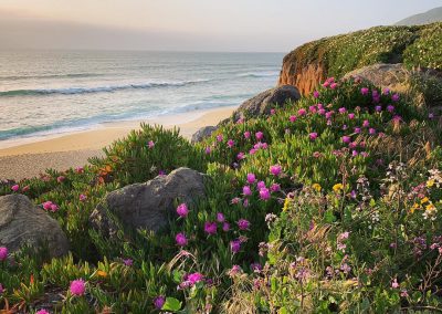 Postcard from Montara Beach 10