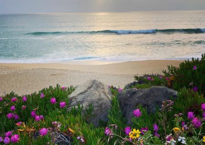 Postcard from Montara Beach 2