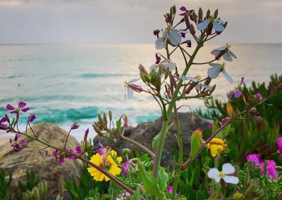 Postcard from Montara Beach 3