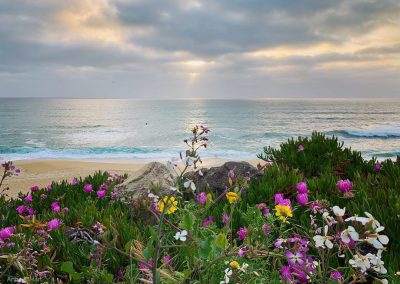 Postcard from Montara Beach 4