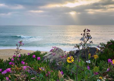 Postcard from Montara Beach 6