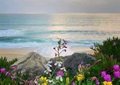 Postcard from Montara Beach 7