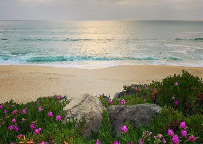 Postcard from Montara Beach 8