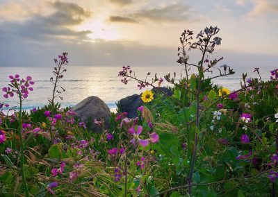 Postcard from Montara Beach 9