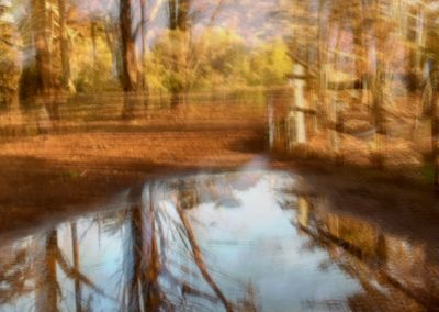 Fitzgerald Marine Reserve puddle trees reflection (ICM)