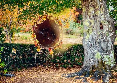 Fall tree leaves portal