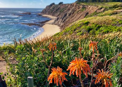 Pillar Point Bluffs HMB