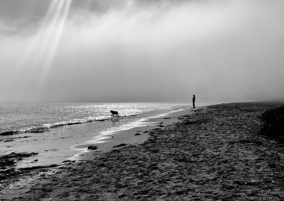 Man and dog in the fog at Pillar Point Harbor