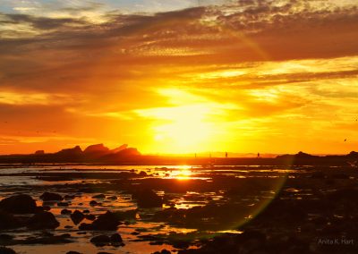 Low tide and sun at Mavericks