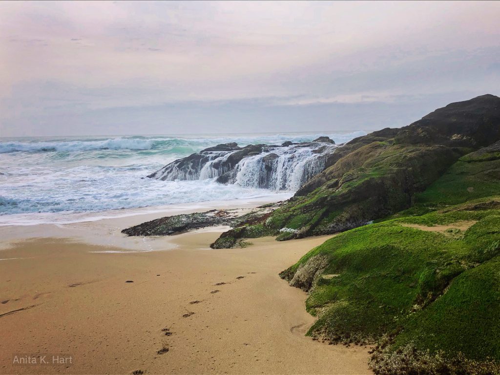 Montara Beach Paradise's End