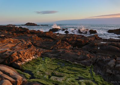 Bean Hollow golden hour