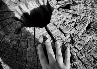 Feeling the Wisdom of Trees