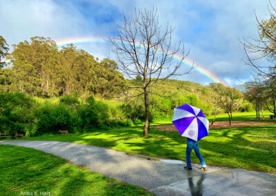 Person holding a rainbow in a lush green park with a rainbow across the sky.