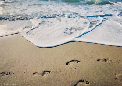 Footprints in the Sand